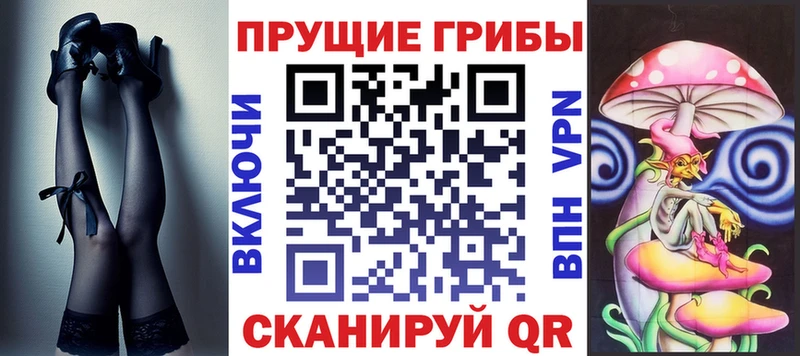 Галлюциногенные грибы Psilocybine cubensis  Болохово 